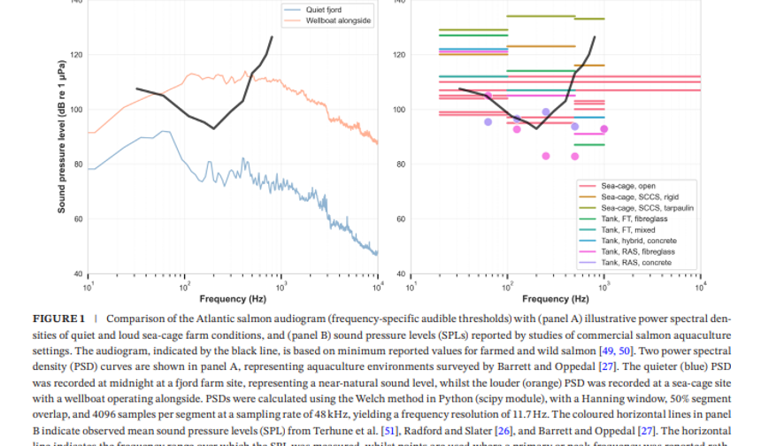 How noisy are salmon farms?