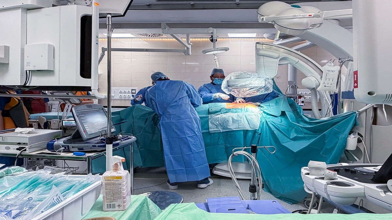 Semmelweis University 3