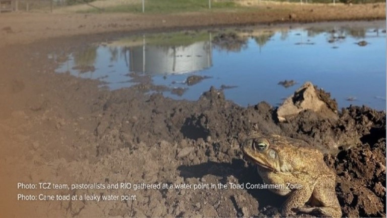 Curtin Molecular And Life Sciences (Mls) 3-1