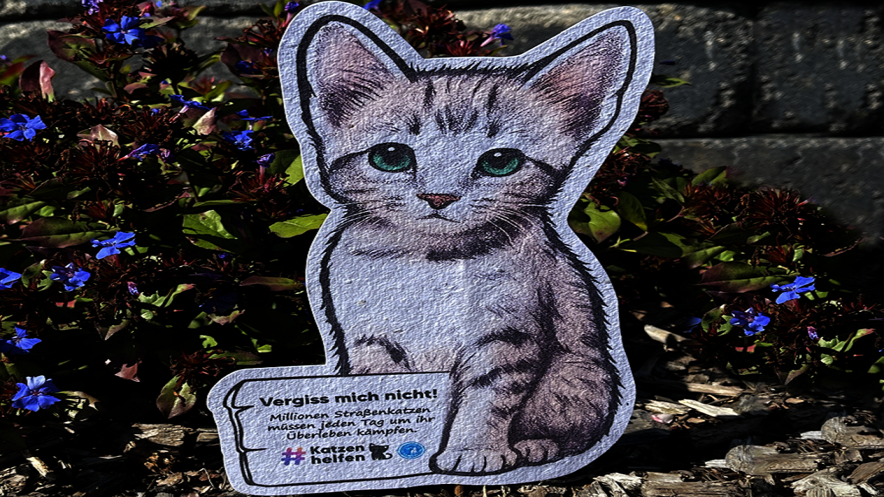 A small gesture. A big message.