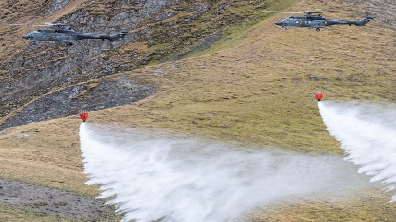 A forest fire broke out in Brusio on Tuesday afternoon